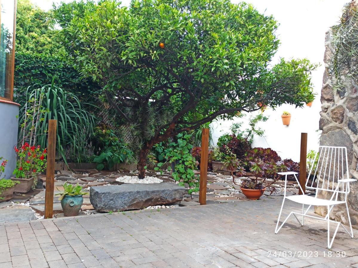 Casa Magali Βίλα Tacoronte Εξωτερικό φωτογραφία